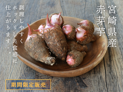 『値下げ中！』里芋　赤芽芋　2kg　宮崎県都城産　ホックリ美味しい里芋「セレベス」