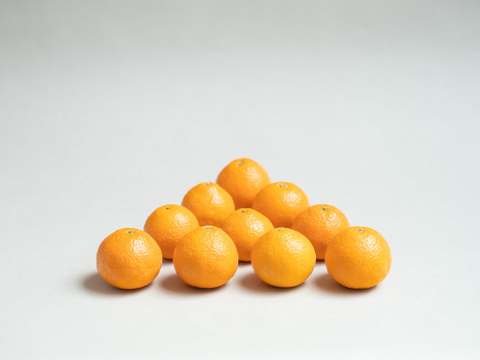 【今が旬！】高級品種の母 ハウス清見(きよみ)  約2.5kg