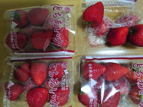 シャキッと歯応え！ジュワ～と果汁！完熟とちあいか！今話題の甘さが際立つ品種です！260g×4パック