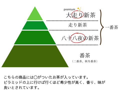 【新茶】【母の日ギフト】最上級ランク”大走り”新茶100g×1、八十八夜のお茶100g×1のセット　新茶　静岡県牧之原産