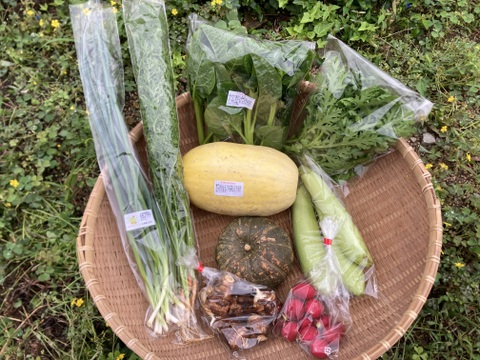 旬の野菜セット（7～9品種）