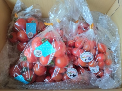 フラガール1.2k+フルティカ1.2k