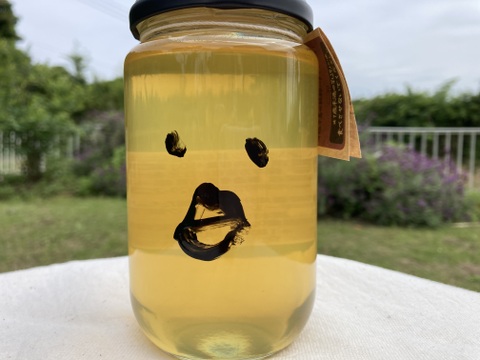 藤のハチミツさん　450g