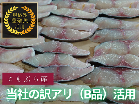 【旨味詰まった冷凍商品】規格外養殖カンパチカマの一夜干し！5個/箱