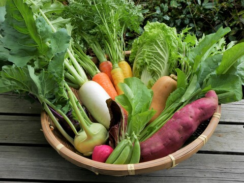但馬の旬をお届け！採れたて野菜セットM【8〜9種類】(80サイズ)