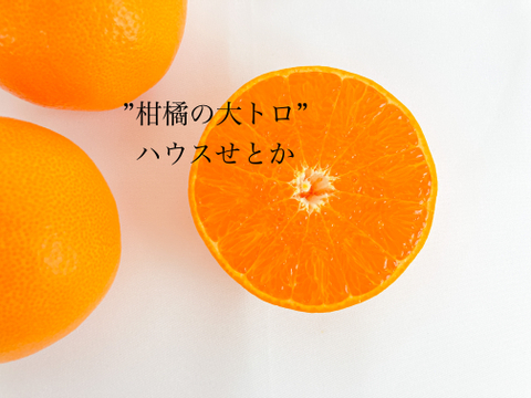 【柑橘の大トロ】果汁溢れる💓ハウスせとか家庭用3kg✨