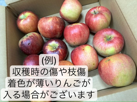 🔸残り２箱SALE🔸りんご食べ比べセット🍎完熟りんご【秋映、シナノスイート】5kg(23玉入り)