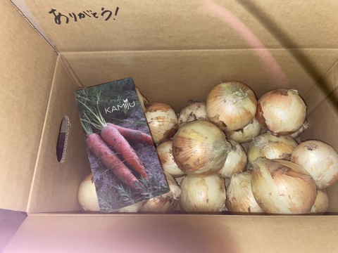 【満天☆青空レストランにでました】サラダ新玉ねぎ「旬玉」生がおいしい！神重農産のブランド玉ねぎ　秀品10㎏