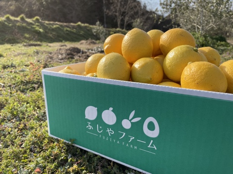 【今シーズン最後の出荷です!!!】大崎上島 こだわり完熟レモン 4kg (ノーワックス、防腐剤不使用!!)