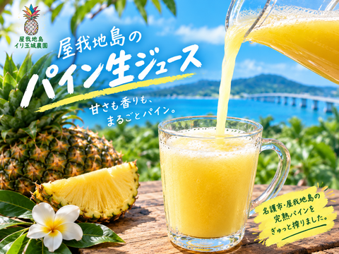 《秋実パイン》加工用5k【慣行栽培】屋我地島    島パイン❣️ （3玉〜7玉）