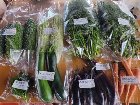 旬のお野菜セット（5～7品）クール便