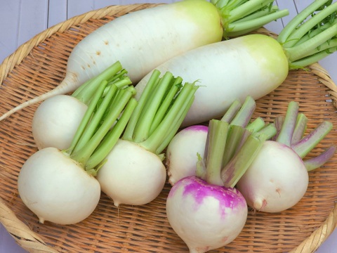 カブ2種類とミニ大根のセット