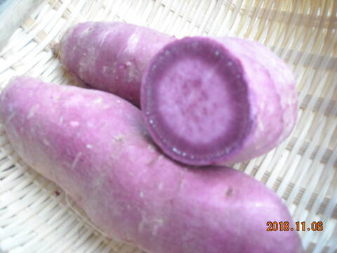 【農薬 化学肥料不使用】紫さつまいも(紫芋) 2kg