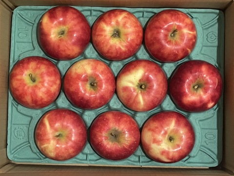 残り20ケース🍎【幻の小玉第1弾】シナノピッコロ3キロ箱 人気上昇中！ 〜21玉 商品ID41120 長野県 信州 安曇野 リンゴ 幻 幻のリンゴ 予約 希少 旬 小玉品種