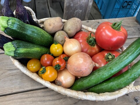 【レシピ付き】夏野菜のトマトカレーセット