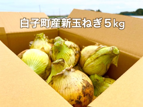 【白子町特産】✨林農園の新玉ねぎ
✨（５kg）