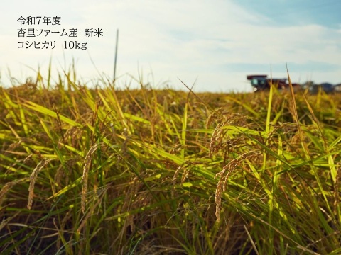【令和7年新米コシヒカリ】杏里ファームのお米10㎏