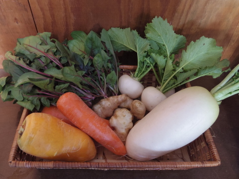 ぴよぴよ農場ミニセット【甘みと旨みの冬の根菜セット】