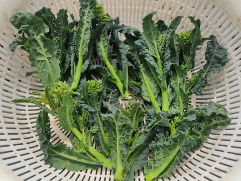 ✨【激レア】【今だけ限定】イタリアの黒い宝石“ベビーネロ”約200g＋旬のお野菜セット｜農薬・化成肥料不使用✨
