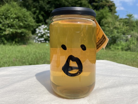 春のハチミツさん 450g