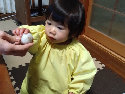 【自然栽培】里芋２種類食べ比べセット！栗のようにホクホク甘い里芋 八つ頭 ＆ 在来種の里芋 大野在来（大野芋）合計2.5kg