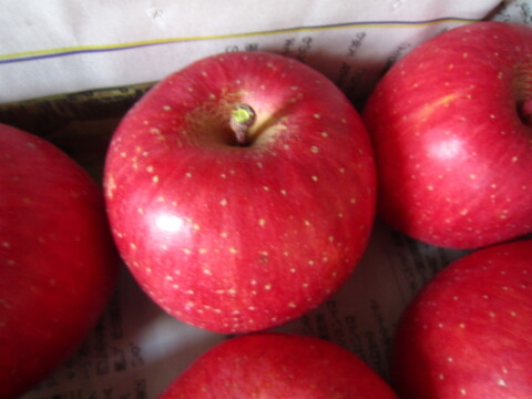 美味しい小玉 樹上完熟サンふじ 総重量 約4kg前後 青森県 南部地方産 自家りんご農園生産直送品！