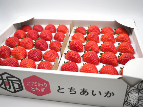 あま〜い♡がギュッとつまった新品種『とちあいか』3箱12パック(1箱で満足1,4kg以上)