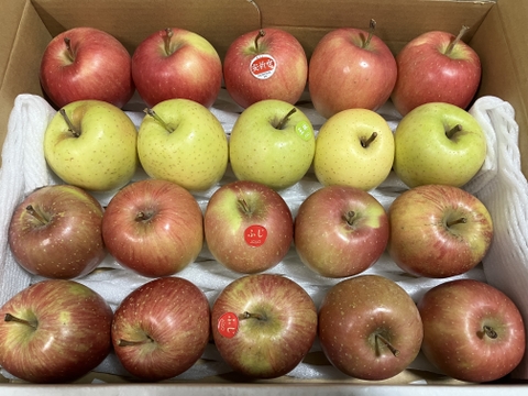 丸かじりにぴったりな小玉りんご食べ比べ3種詰合せ2.5kg🍎🍏低農薬で皮ごと安心！キズありご家庭用