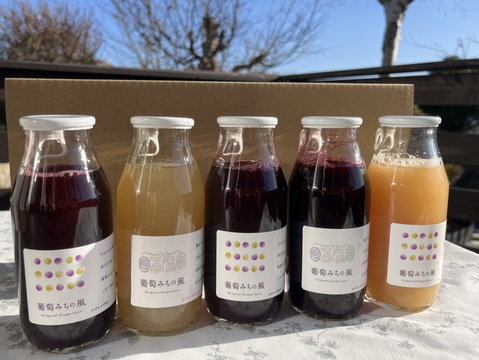 【冬ギフト】ワイン用ぶどうで作ったジュース　4品種各1本+おまかせ品種1本　飲み比べセット180ml✖️5本【熨斗対応可】