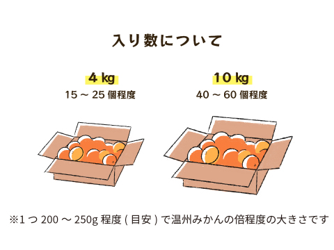 清見｜春先まで樹上完熟させた濃厚な味わい！みかんとオレンジのかけ合わせで生まれた和歌山県海南市下津町産の和製オレンジ（ご家庭用4kg）