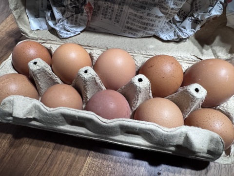 ✨菊池の平飼い有精卵🥚
あっさり美味しい！！（２０個入り）✨