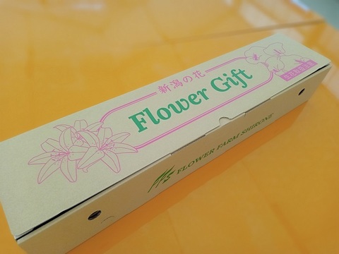 ブルーリリー（染ゆり）　ユリ切り花 八重咲き3本　珍しい色染めのゆりです 　※北海道・沖縄県配送不可※