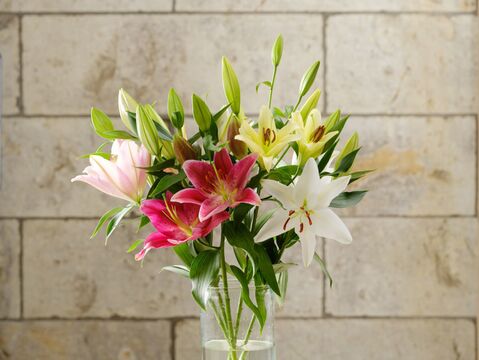 【専用】■オリエンタルユリピンク１０本bouquet■