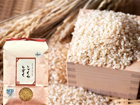 【玄米　5㎏】７分つきがおすすめ！　茨城県産　ミルキークイーン　しづくのしずく
