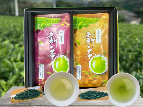 【2026年新茶】新茶箱ギフト　大切な方へ旬をお届け！やぶきた＆さえみどり　100ｇ×2パック