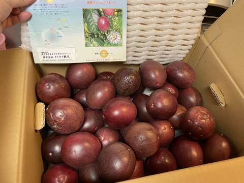 大特価】完熟パッションフルーツ おまかせ（3㎏）訳あり・家庭用