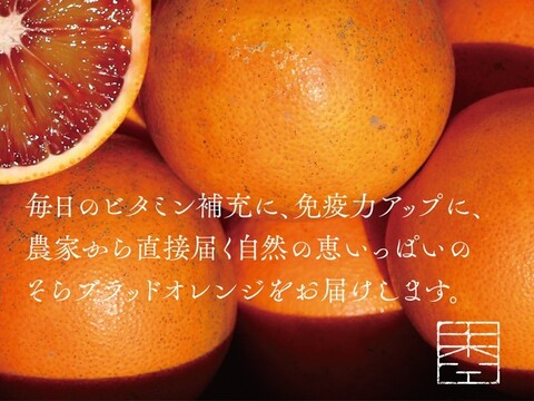そらブラッドオレンジ【農家直送/訳あり】3kg