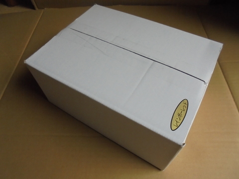 レインボーレッド （レッドキウイ）　中玉、大玉混合２．２Kｇ　糖度20度