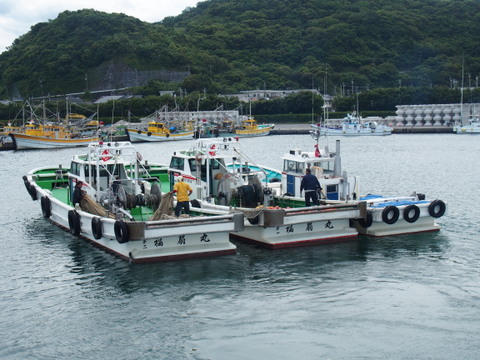 大きいサイズ しらす の大容量生姜佃煮セット 0g 4セット 800g 和歌山県産 食べチョク 農家 漁師の産直ネット通販 旬の食材を生産者直送
