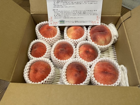 【クール便】桃あかつき樹上完熟ご家庭用3kg箱