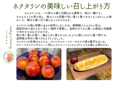 生産農家直送  ネクタリン スイートクリスタル ご家庭用 3kg 長野県産 化学肥料不使用 除草剤不使用 人にやさしく環境にもやさしい農産物