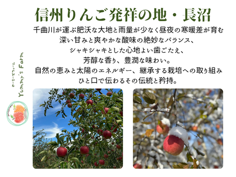 無添加！信州りんご発祥の地 長沼産 2025年産サンふじ 100% 生産農家直送 りんごジュース ６本 長野県 化学肥料不使用 除草剤不使用 人にやさしく環境にもやさしい農産物 720ml×6本