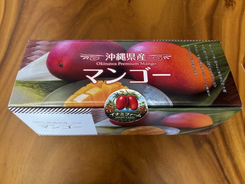 ☆2026年予約開始☆ 【夏ギフト】 ≪優品≫名護市最北端 イナミ