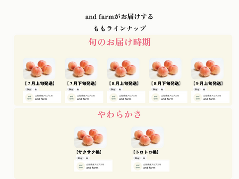 【予約】【7月中旬発送】桃好き必見！桃のリレーが楽しめる！季節の【桃】おうち用（もも）お試しセット 2kg 約8~10玉