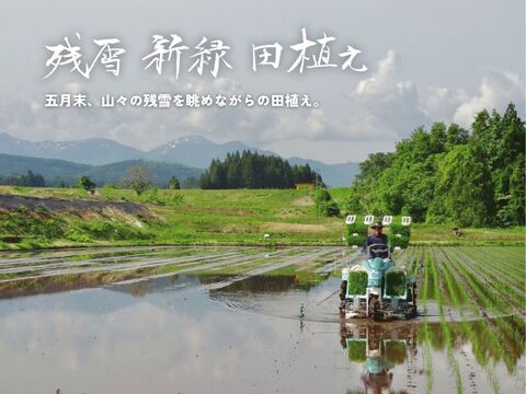 【農家直販！】令和7年産 魚沼産こしひかり玄米30kg