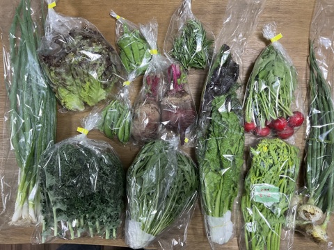 【初回限定BOX】シェフ御用達！医療人が栄養価にこだわった【旬の機能性野菜9~10品目セット】