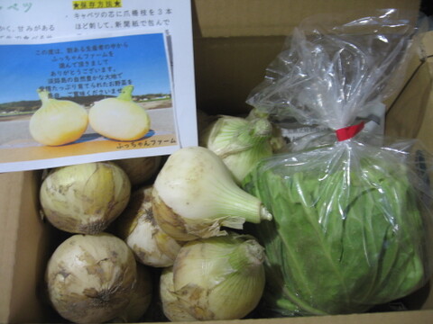 《数量限定》【淡路島産】昨年大好評の 極早生新玉ねぎ 3kgと春キャベツ詰め合わせ