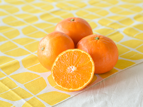 濃厚果汁がたっぷり！　セミノール【家庭用(訳あり)】[5kg]　319-3