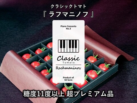 クラシック音楽で育つ 糖度11度以上の超プレミアム高糖度ミニトマト『 クラシックトマト ラフマニノフ 』