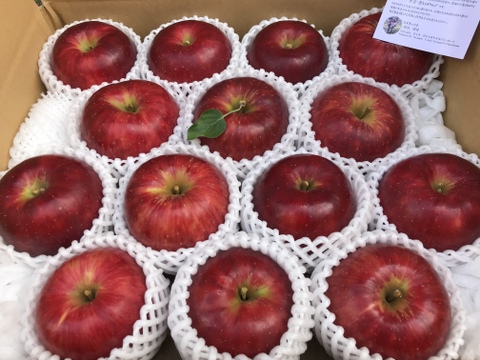 特選　つがる　約4.5kg【2025年産】